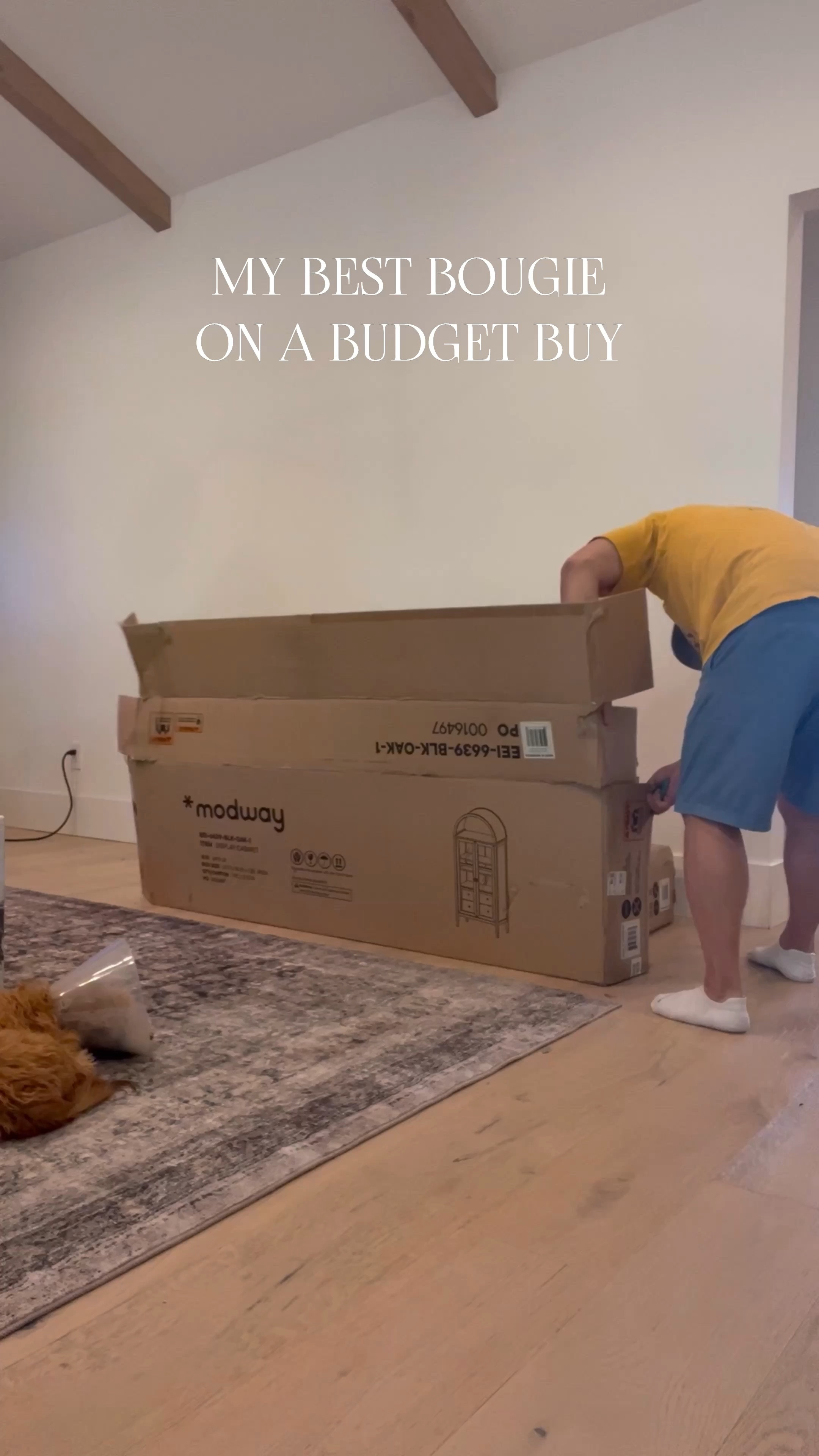 My best bougie on a budget by. Restocked just in time for Black Friday sale which starts today at Wayfair! We save thousands of dollars using this arched cabinet. Every other one I fell in love with with thousands of dollars and this is really high-quality and gorgeous!

Black arch cabinets, vintage Bell, ceramic white trees, wood cabinet, Wayfair target Amazon, Etsy African bells holiday Christmas vintage rug Loloi 

#LTKFindsUnder100 #LTKHome #LTKSaleAlert