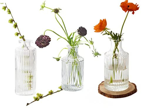 Small Glass Vase for Centerpieces Set of 3,Glass Bud Vase Hydroponic Vase,Mini Embossed Vintage Clear Table Vase Decorative for Wedding Farmhouse Party Home Decor(clear 3) | Amazon (US)