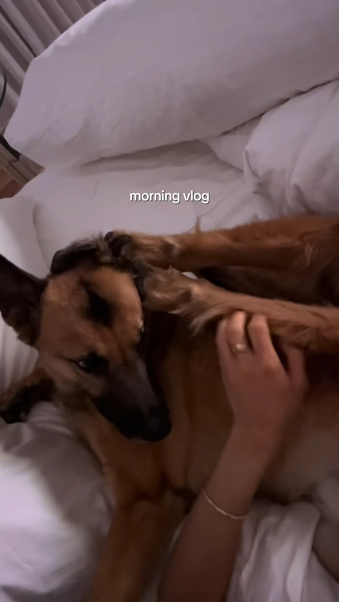 puppy cuddles and the start of a great (hair) week

#LTKStyleTip #LTKBeauty #LTKActive