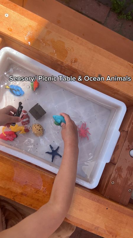Stilll loving our 2 in 1 picnic table/sensory table and we added ocean animal for some water play 🧡 #toddlertoys #kidstoys

#LTKfamily #LTKhome #LTKkids