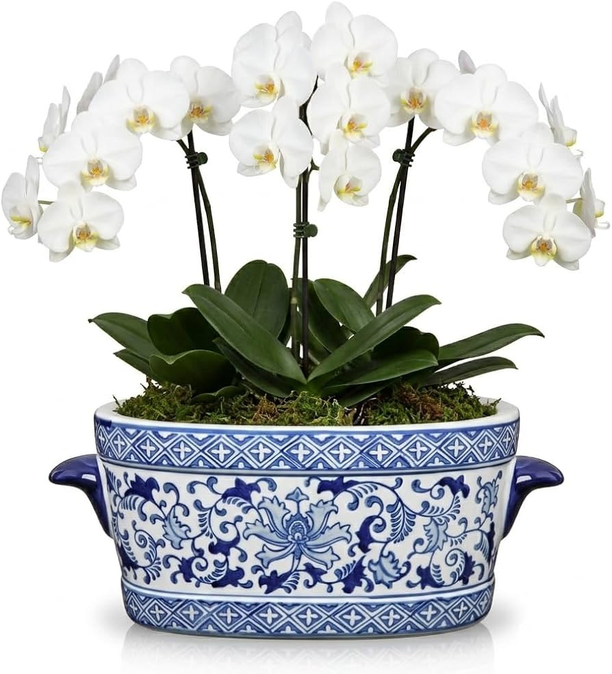 Blue and White Ceramic Planter Pot \u2013 Vintage Floral Oval Cachepot Vase for Indoor Plants, Fl... | Amazon (US)