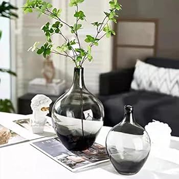 2 Pieces Clear Glass Vase for Decor, Colored Bubble Large Vintage Floor Flower Jug Vase, for Centerp | Amazon (US)