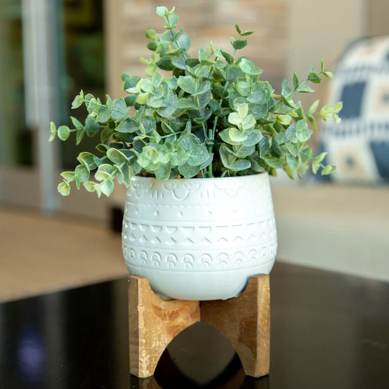 3.5" Artificial Eucalyptus Plant in Planter | Wayfair North America