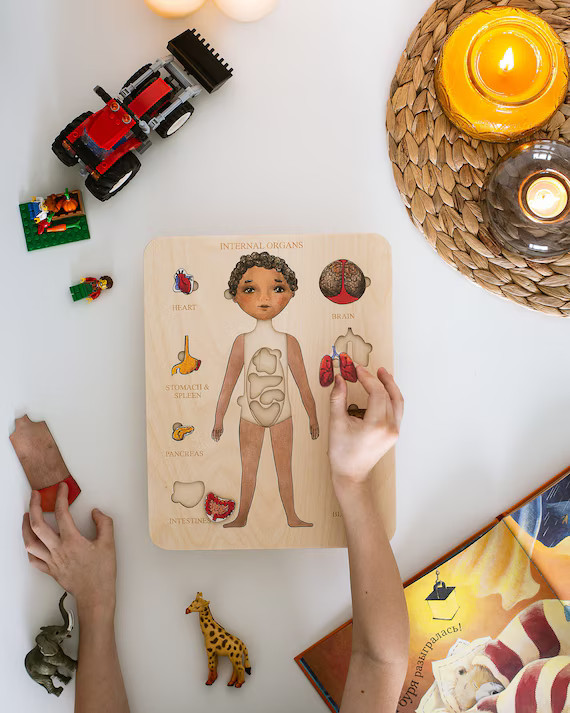 Wooden Puzzle | Human body | Internal organs Montessori Homeschooling Toddler Toys Baby Gifts Gif... | Etsy (US)