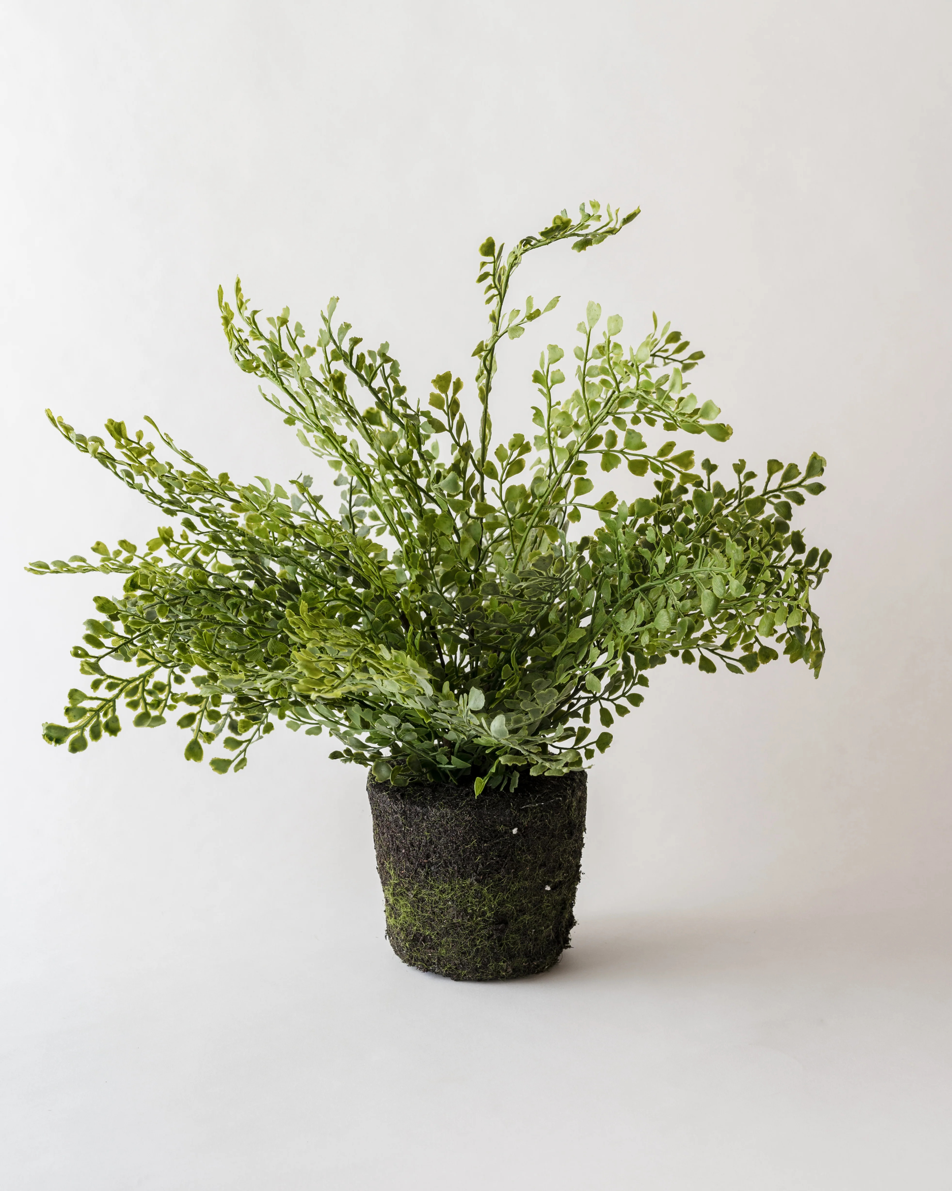 Faux Maiden Hair Fern Drop In | Mitch Allen Interiors