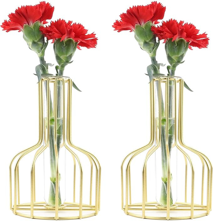 KATHNEY Wrought Iron Metal Glass Vase Decoration Set of 2 (Gold) | Amazon (US)