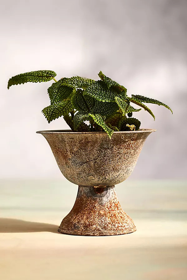 Fluted Iron Urn Planter in Beige, Size: 6" at Terrain | Terrain