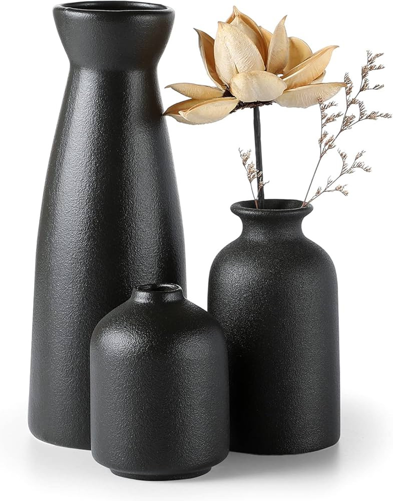 CEMABT Black Ceramic vase Set-3 Small Flower vases for Decor,Modern Boho Farmhouse Home Decor,Dec... | Amazon (US)