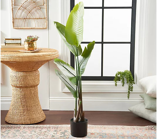Garden Reflections Faux Outdoor Traveling Palm in Growers Pot - QVC.com | QVC