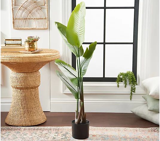 Garden Reflections Faux Outdoor Traveling Palm in Growers Pot - QVC.com | QVC