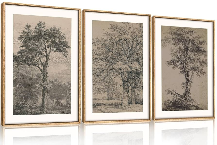 KAIRNE Vintage Tree Sketch Wall Art Set, Antique Tree Drawings Wall Decor, Nature Sketch Wall Pai... | Amazon (US)