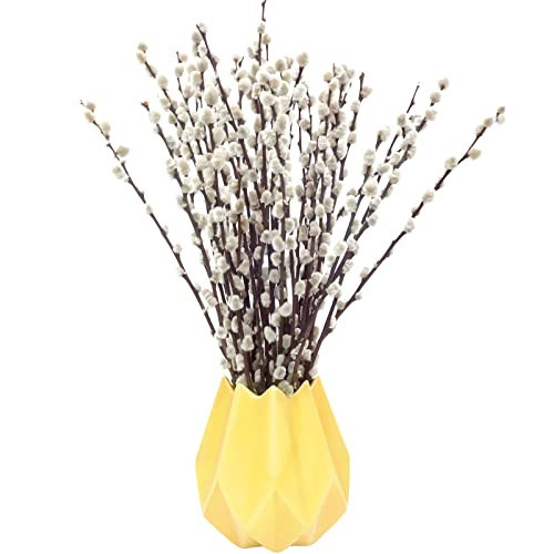 40 Stems 17.5 Inches Real Dried Pussy Willow Branches for Vase White Pussy Willows Snow willlows Dried Flowers Pussywillow for Home Decorations, Wedding, Fireplace Yard | Amazon (US)