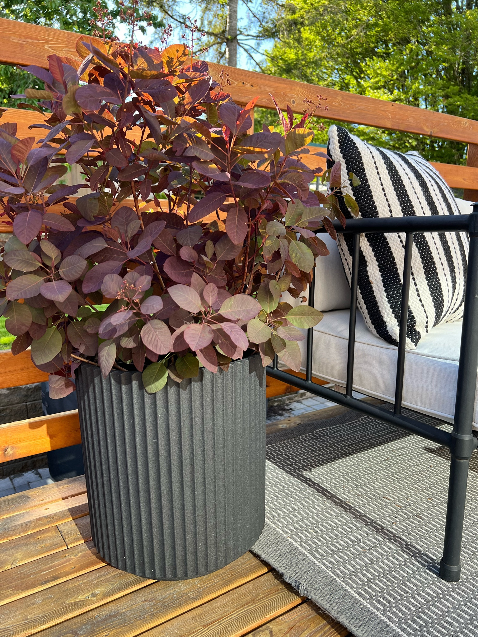 My favorite modern planters are on sale for Amazon Prime Day!  The two pack is a great deal!

#LTKSaleAlert #LTKSeasonal #LTKHome