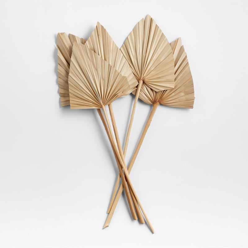 Dried Palm Leaves, Set of 5 + Reviews | Crate & Barrel | Crate & Barrel