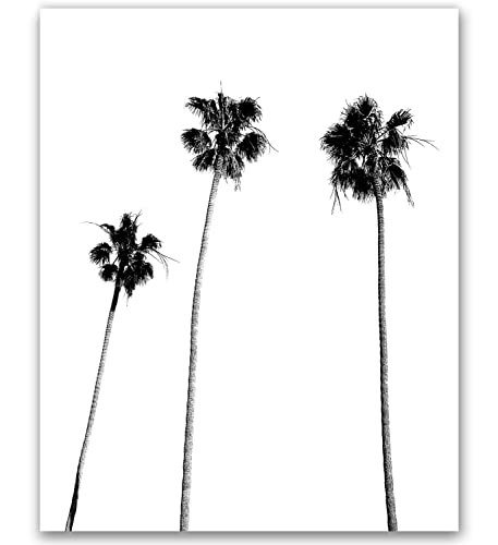 Palm Tree Print Palm Print Palm Tree Photography Black and White Palm Tree Tropical Wall Art Trop... | Amazon (US)