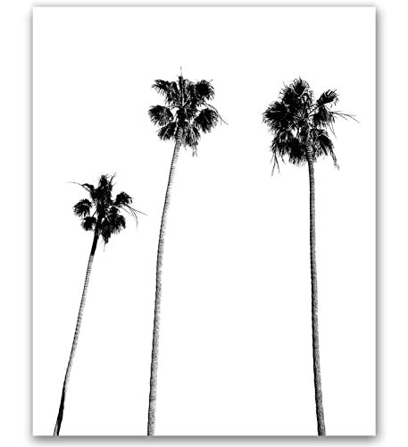 Palm Tree Print Palm Print Palm Tree Photography Black and White Palm Tree Tropical Wall Art Trop... | Amazon (US)