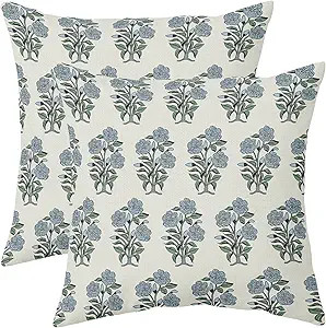 Blue Green Floral Block Print Pillow Covers 18x18 Set of 2 Chinoiserie Flower Leaves Outdoor Deco... | Amazon (US)