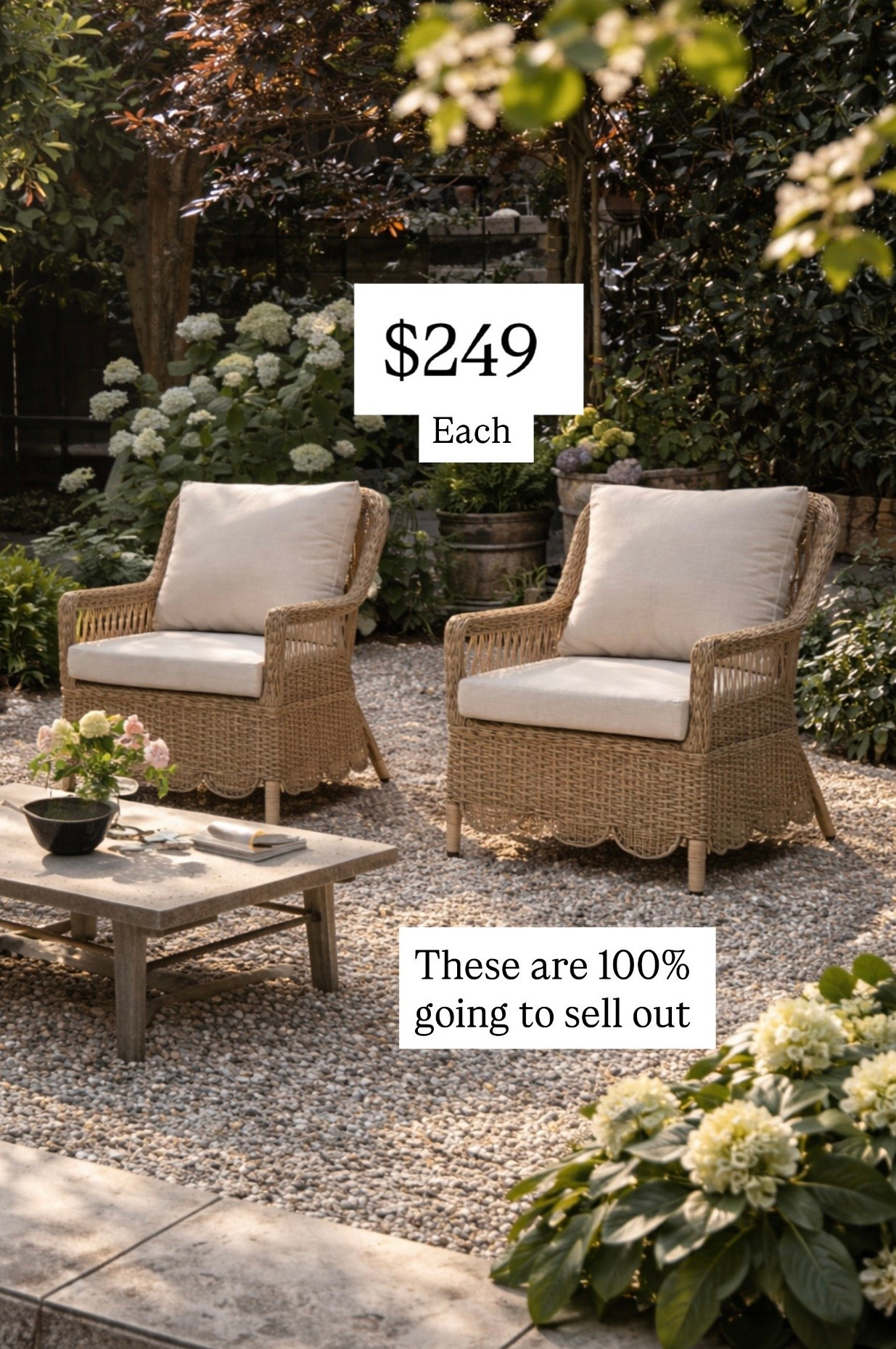 New from TJ Maxx these are only 249 apiece sold as two in a set so 499 for both absolutely beautiful. These will sell out woven wicker patio chairs with cushions.

#LTKSaleAlert #LTKHome