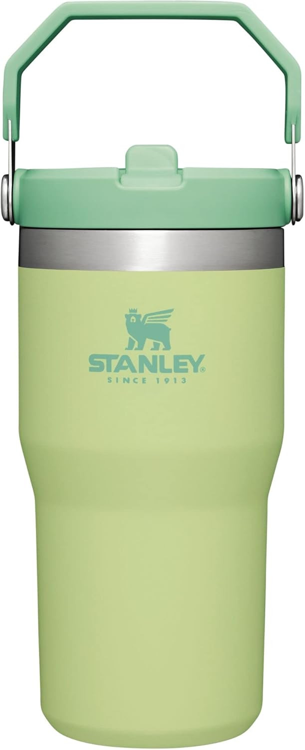 Stanley IceFlow Stainless Steel Tumbler with Straw - Vacuum Insulated Water Bottle for Home, Offi... | Amazon (US)