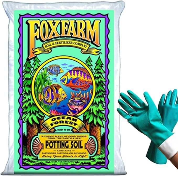 FoxFarm Ocean Forest Potting Soil Organic Mix Indoor Outdoor For Garden And Plants - Organic Plan... | Amazon (US)