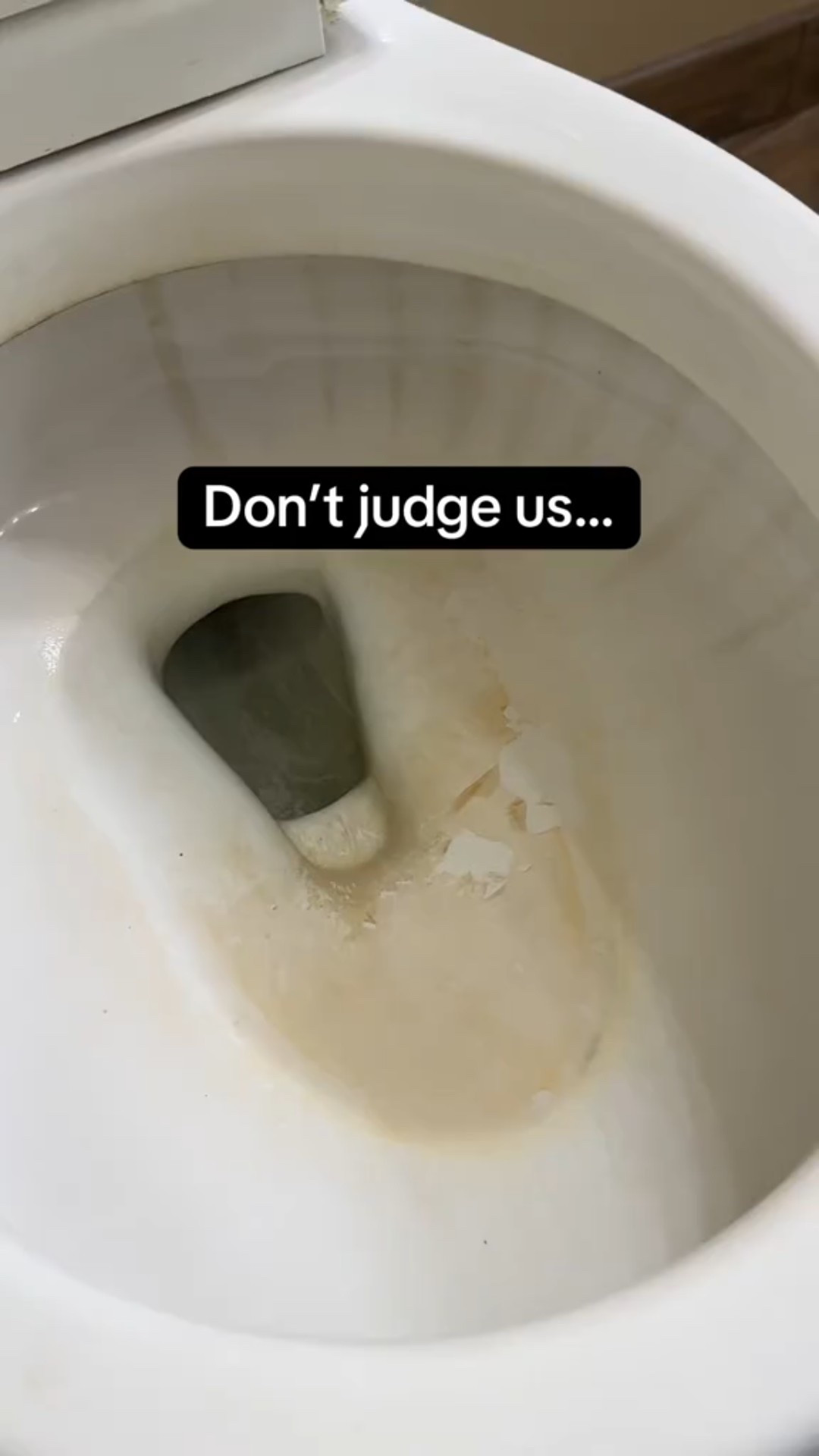 Well water = stubborn toilet stains 🚽 Tried the @Blueland Toilet Tablet and wow 😱💙 It’s eco-friendly, septic safe, plastic-free, and actually WORKS! #septicsafe  #cleanwithme #toilethack #hardwater #blueland #beforeandafter #Clean #cleaning #ecocleaning #gross 

#LTKHome #LTKFindsUnder50