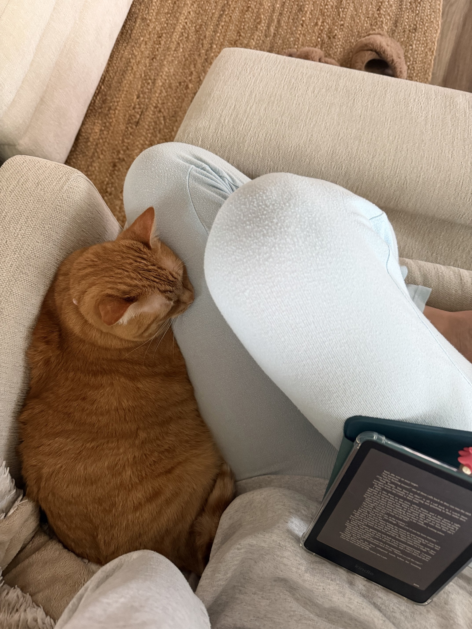 nothing beats cozy reading