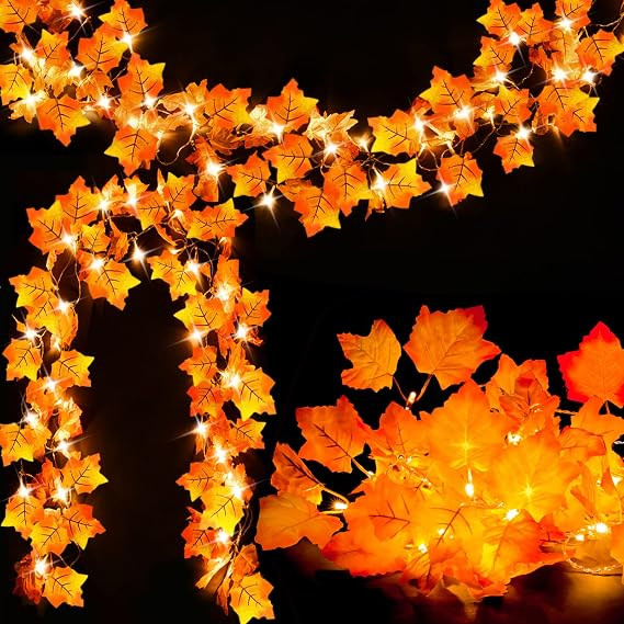 2-Pack Lighted Fall Garland, Total 16.4ft 40 LED Autumn String Lights | Battery Operated, Thanksg... | Amazon (US)