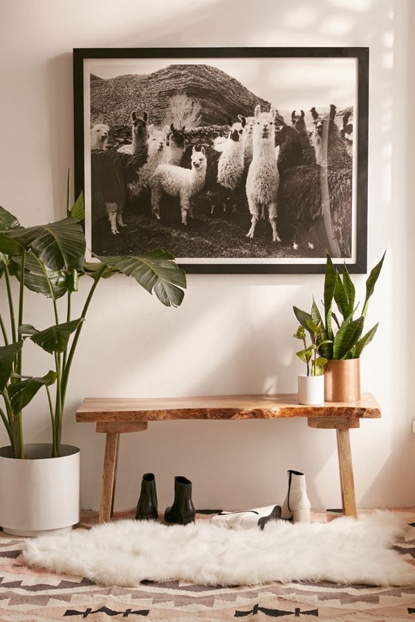 Victoria Aguirre Llamas Family Art Print | Urban Outfitters (US and RoW)
