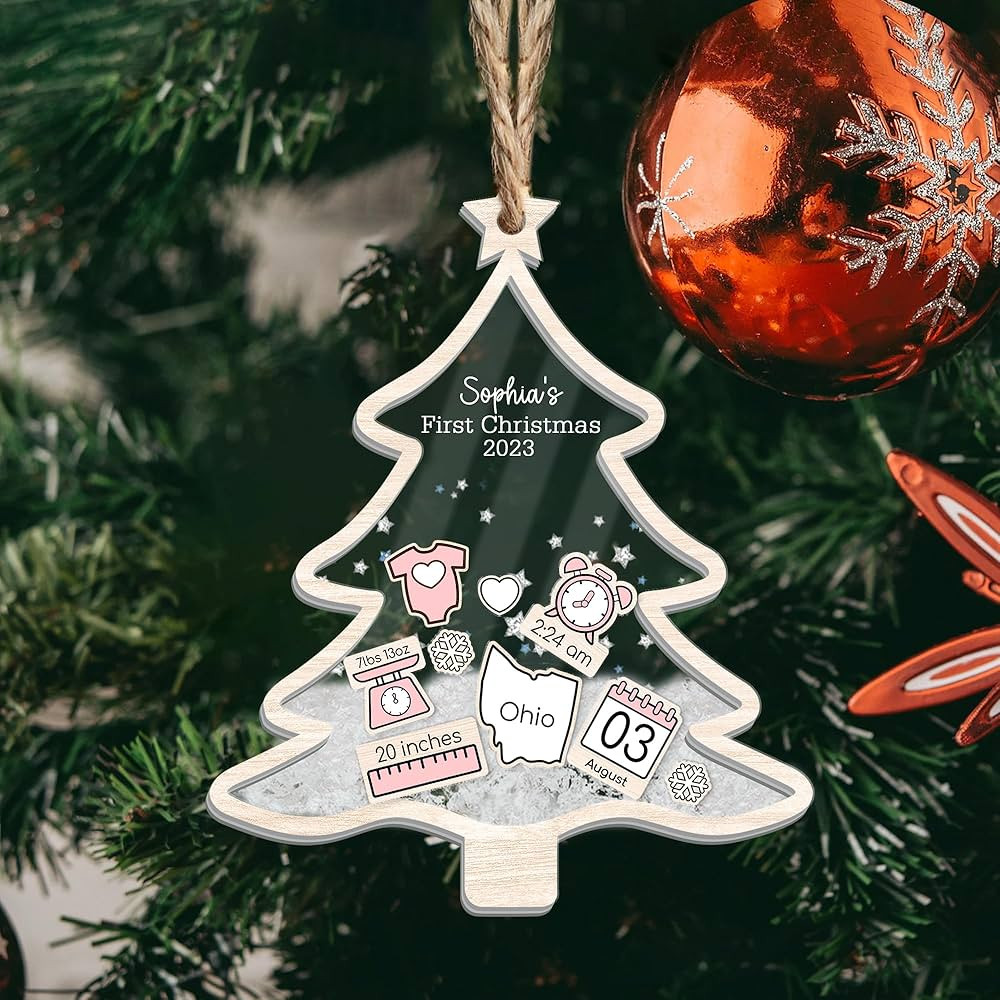 Personalized Baby's First Christmas Tree Ornament 2023, Babies 1st Christmas, Shaker Ornament wit... | Amazon (US)