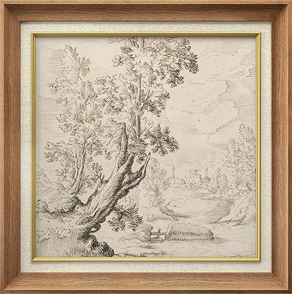 MUDECOR Premium Framed Wall Art Antique Landscape with Trees and Castle Classic Vintage Illustrat... | Amazon (US)