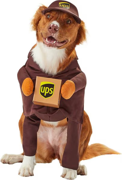 California Costumes UPS Delivery Driver Dog & Cat Costume | Chewy Canada