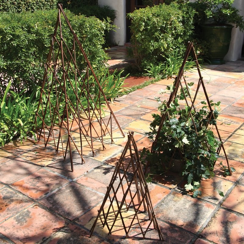 Elkins Natural Pyramid Trellis | Wayfair North America
