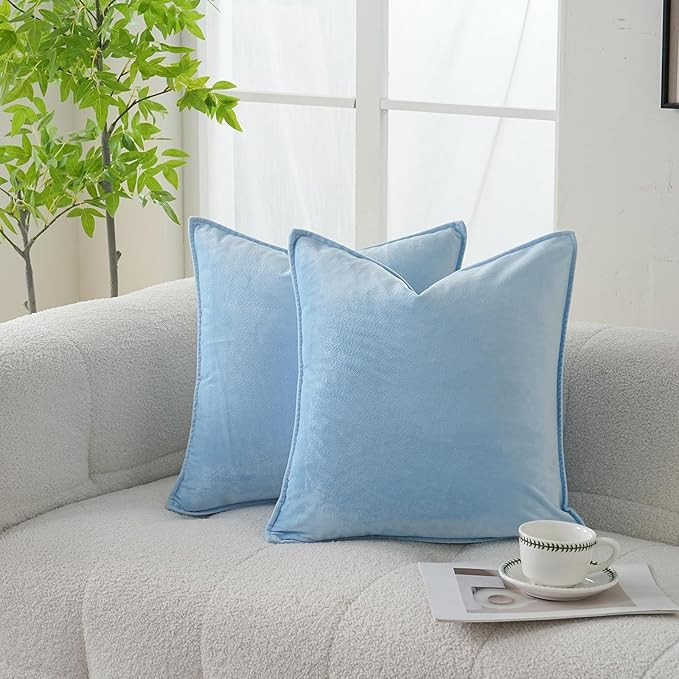JIAHANNHA Velvet Light Blue Throw Pillow Covers Pack of 2 Spring Decorative Soft for Couch Sofa B... | Amazon (US)
