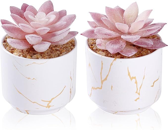 ZENIDA Artificial Plants and Succulents in 2 White Ceramic Pots,Small Fake Plants for Office and ... | Amazon (US)