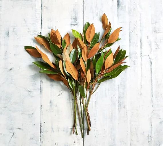 Fresh Magnolia  Bunches Greens  Thanksgiving  Christmas  | Etsy | Etsy (US)