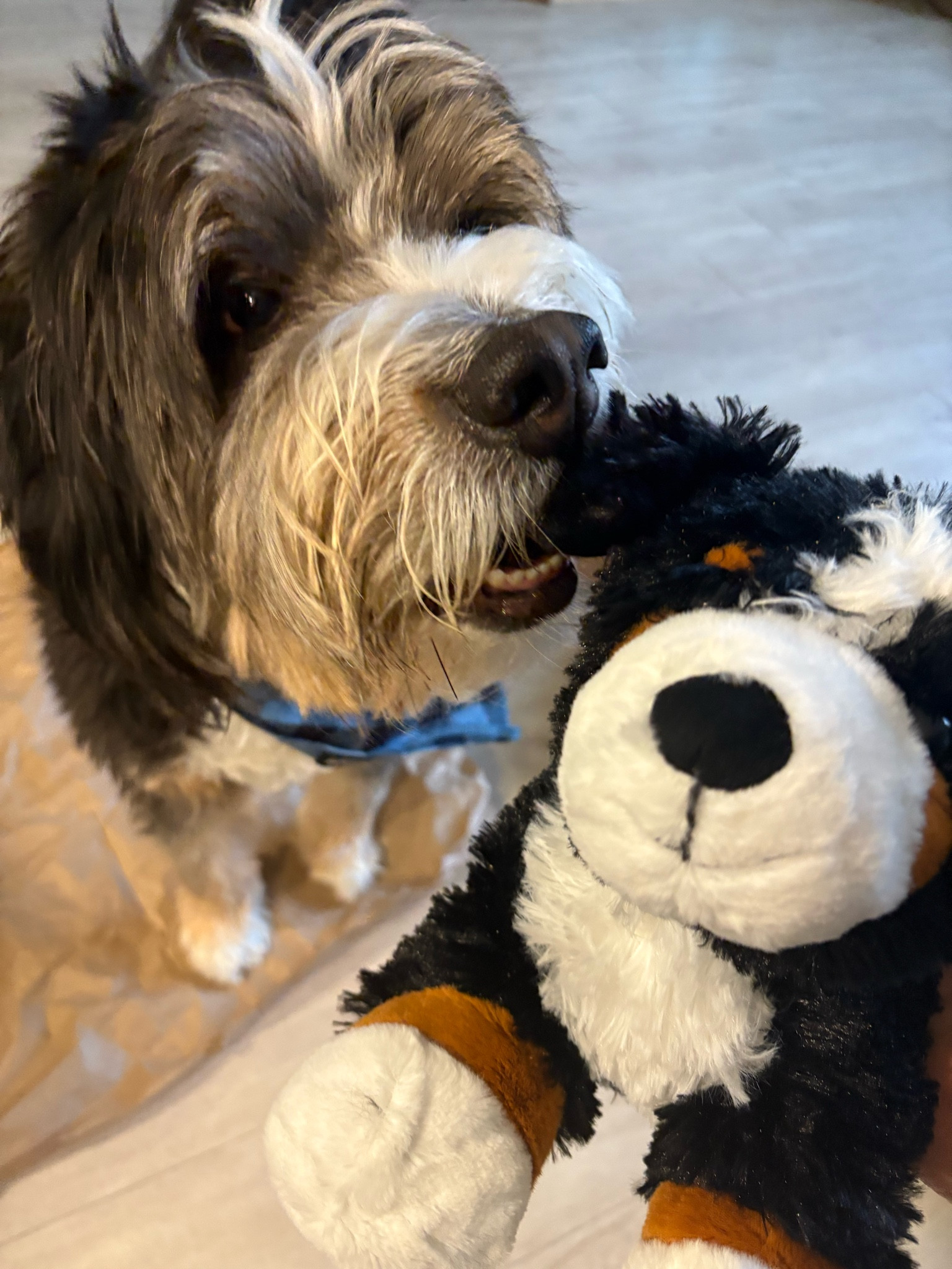 “Thanks I’ll take that”



#LTKCyberWeek #LTKGiftGuide #LTKmomlife