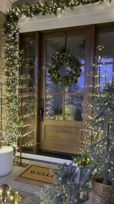 My favorite twinkling twig trees were a follower favorite this week!  I use these indoors and out every year.  They twinkle and give off the most magical glow.  

#LTKHoliday #LTKVideo #LTKhome