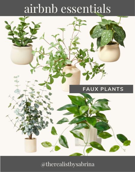 Airbnb faux plants

#LTKhome #LTKunder50 #LTKunder100