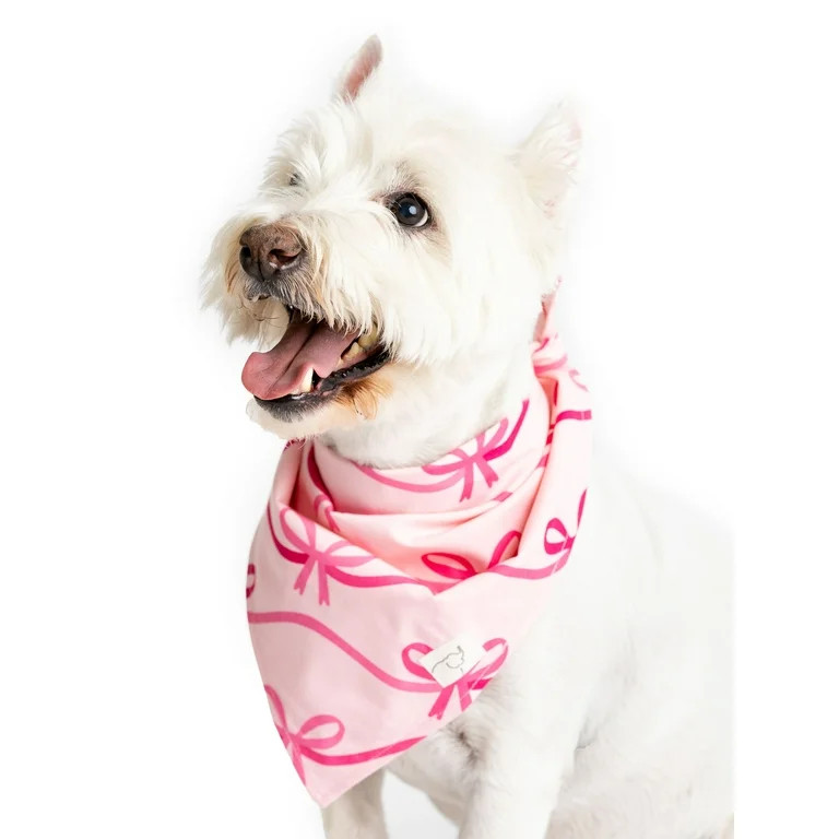 Paris Hilton x Monica + Andy Organic Cotton Pet Bandana | Walmart (US)
