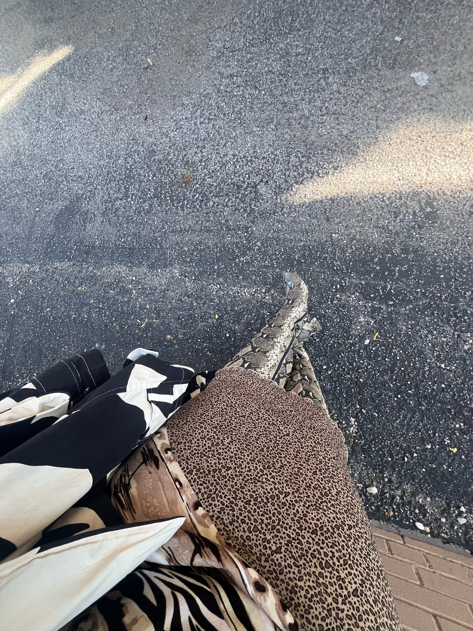 The perfect wide calf boot for fall from Eloquii

#LTKSaleAlert #LTKPlusSize