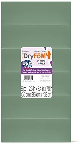 FloraCraft Floral Dry Foam 6 Piece Brick 2.6 Inch x 3.5 Inch x 7.8 Inch Green | Amazon (US)
