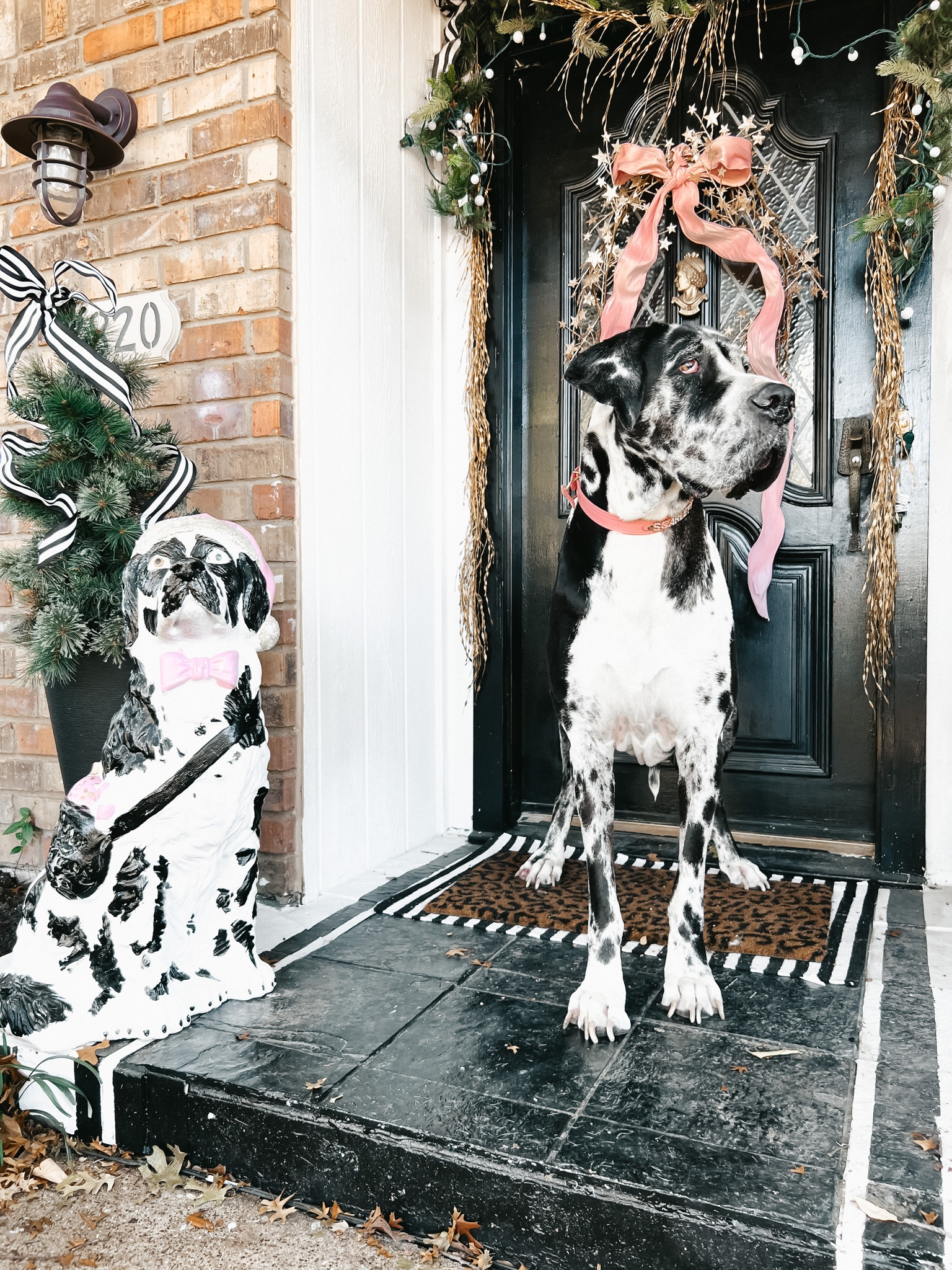 Dog mom, Christmas, holiday, porch, lights 

#LTKunder50 #LTKHoliday #LTKSeasonal