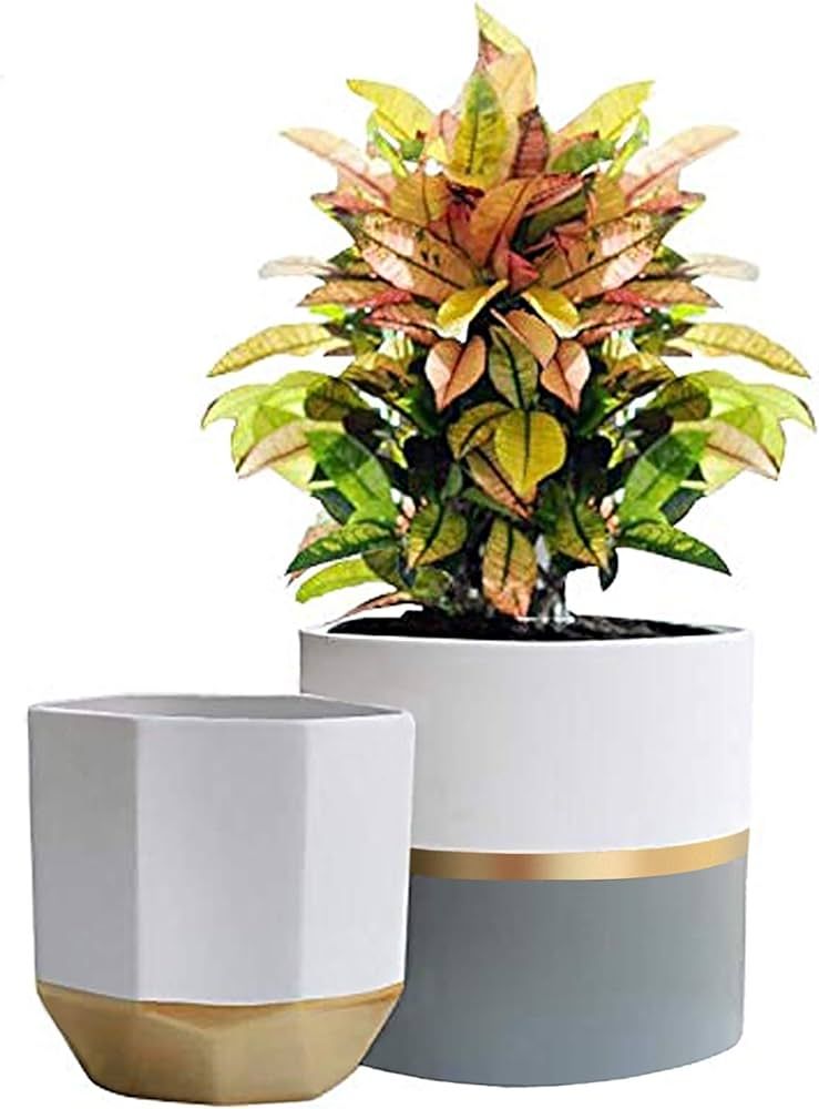 LA JOLIE MUSE White Ceramic Flower Pot Garden Planters 6.7 Inch Pack 2 Indoor Plant Containers wi... | Amazon (US)