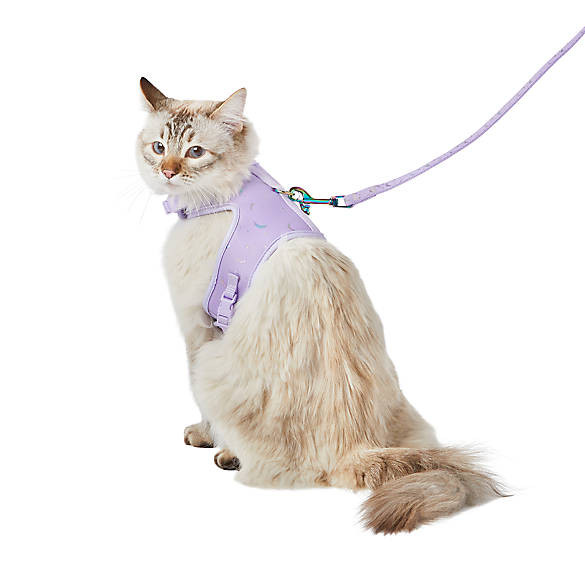 Whisker City® Purple Moons Cat Leash & Harness Combo | PetSmart