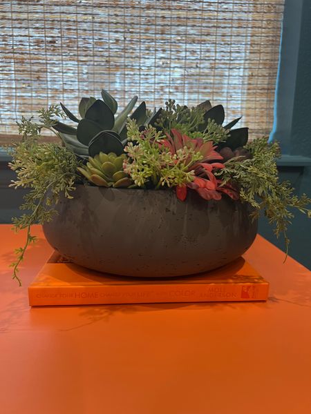 This succulent arrangement is so lifelike! It really mimics the real thing in texture, color and shape. It also comes in this super stylish grey pot! I love the life it brings to my library. They have so many great options of faux plants. Check them out!! 

#LTKSeasonal #LTKHome #LTKStyleTip