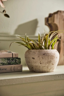 Earth Fired Clay White Curve Pots + Saucers, 2 Sizes Set | Anthropologie (US)