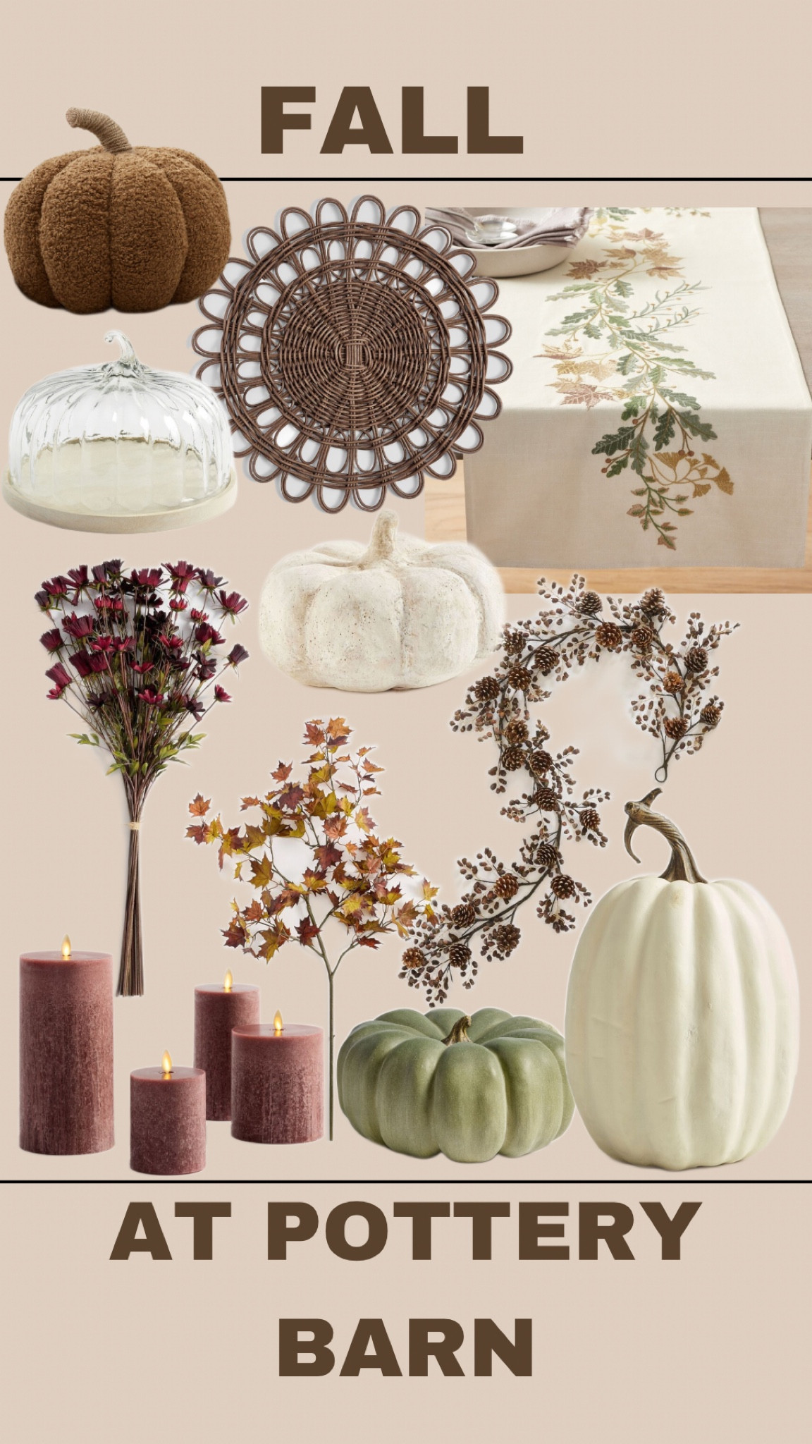 Fall at Pottery Barn #potterybarn #falldecor #ltkseasonal #fallfavorites 

#LTKFindsUnder100 #LTKSeasonal