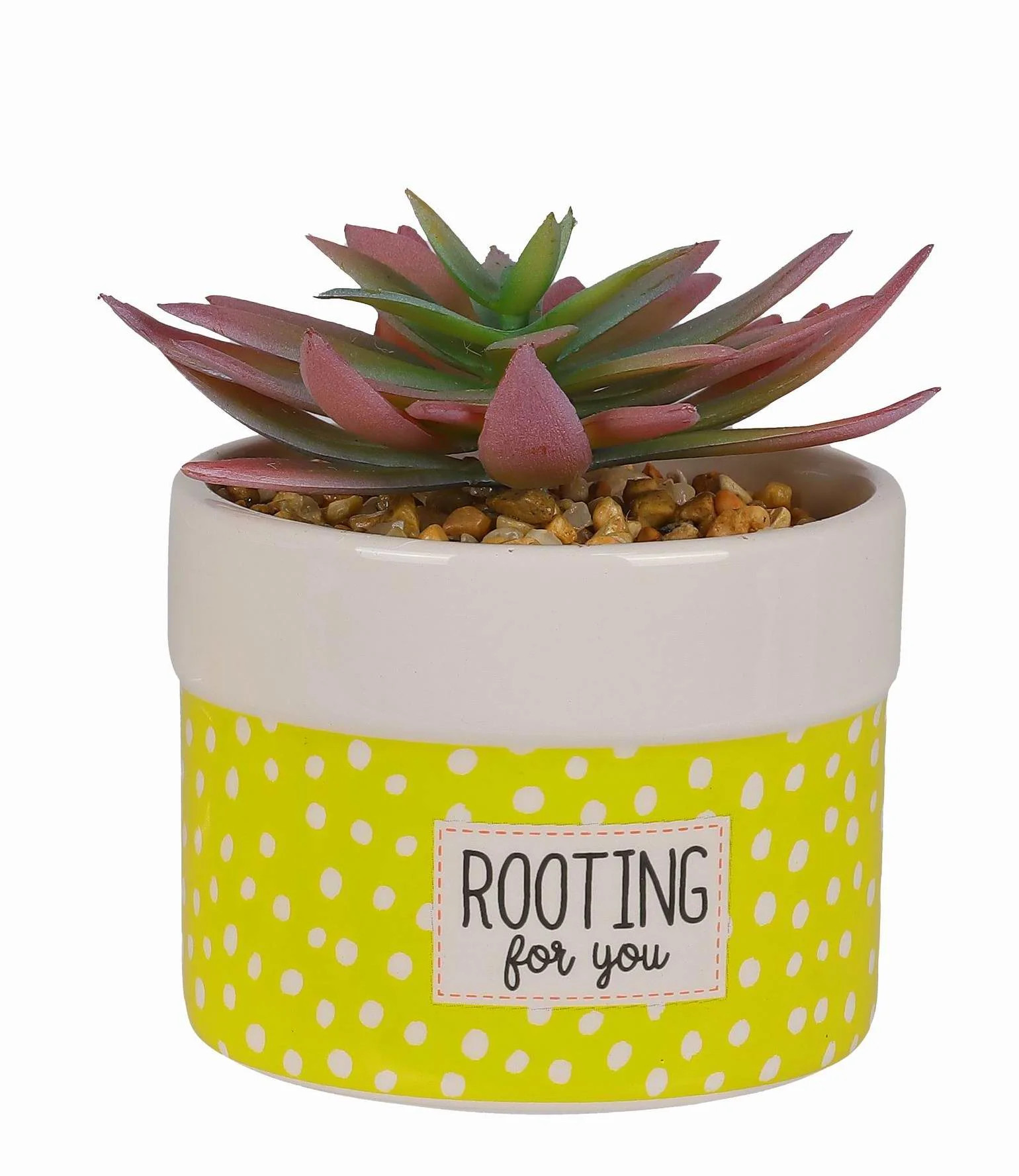 Way to Celebrate Planter-rooting Decor | Walmart (US)