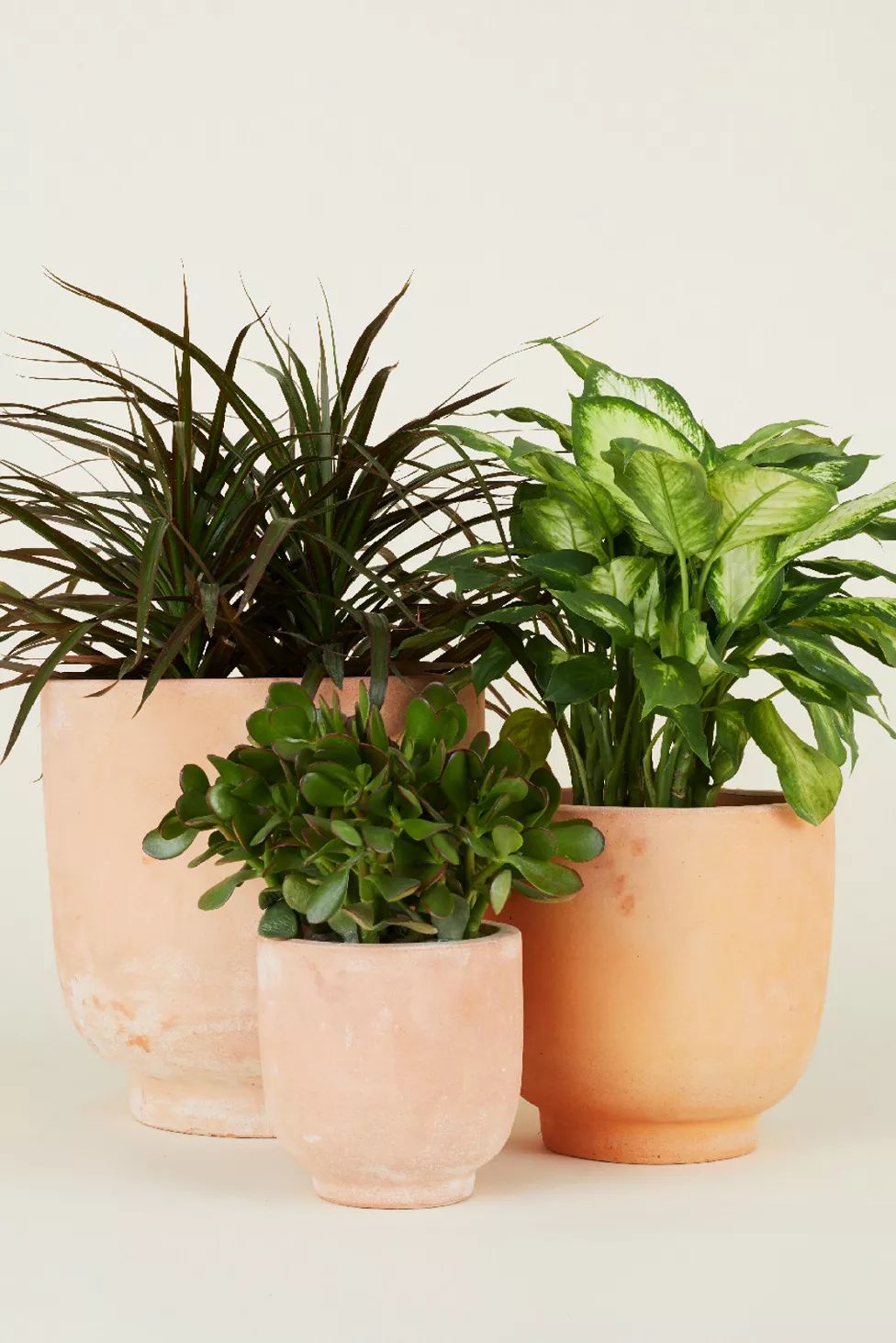 Hawkins New York Footed Terracotta Planter | Urban Outfitters (US and RoW)