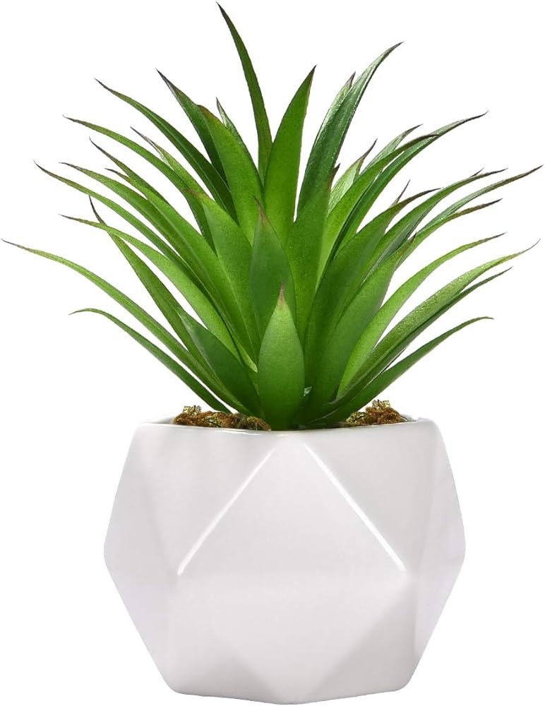 Artificial Succulent Plants, Faux Assorted Green Unpotted Faux Succulent Agave Floral Arrangement... | Amazon (US)